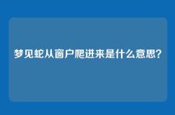 梦见蛇从窗户爬进来是什么意思？