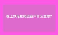 晚上梦见蛇爬进窗户什么意思？