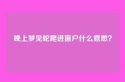 晚上梦见蛇爬进窗户什么意思？