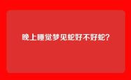 晚上睡觉梦见蛇好不好蛇？
