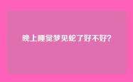 晚上睡觉梦见蛇了好不好？