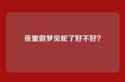 夜里做梦见蛇了好不好？