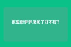 夜里做梦梦见蛇了好不好？