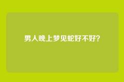 男人晚上梦见蛇好不好？