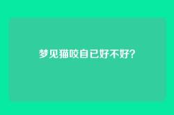 梦见猫咬自已好不好？