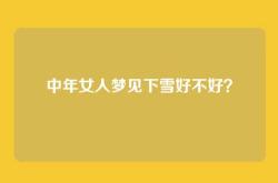 中年女人梦见下雪好不好？