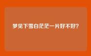 梦见下雪白茫茫一片好不好？