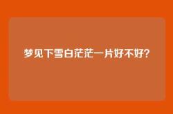 梦见下雪白茫茫一片好不好？