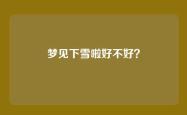 梦见下雪啦好不好？