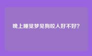 晚上睡觉梦见狗咬人好不好？