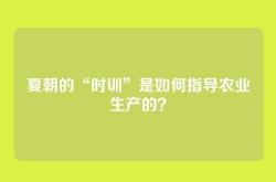 夏朝的“时训”是如何指导农业生产的？
