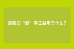 夏朝的“数”学主要用于什么？