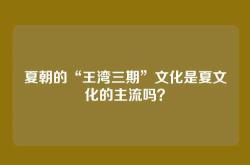 夏朝的“王湾三期”文化是夏文化的主流吗？
