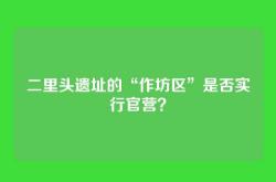二里头遗址的“作坊区”是否实行官营？
