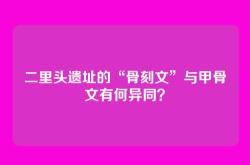 二里头遗址的“骨刻文”与甲骨文有何异同？