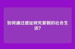 如何通过遗址研究夏朝的社会生活？
