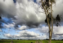 齐宣王哪个朝代的