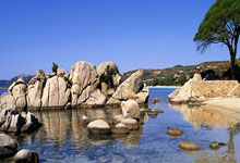 哪个朝代公公当权