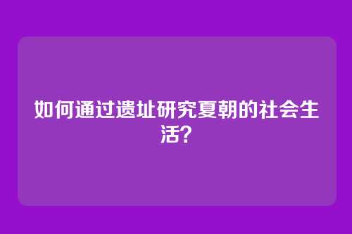如何通过遗址研究夏朝的社会生活?