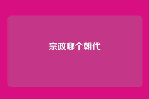 宗政哪个朝代