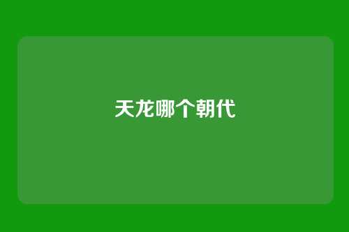 天龙哪个朝代