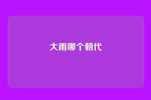 大雨哪个朝代