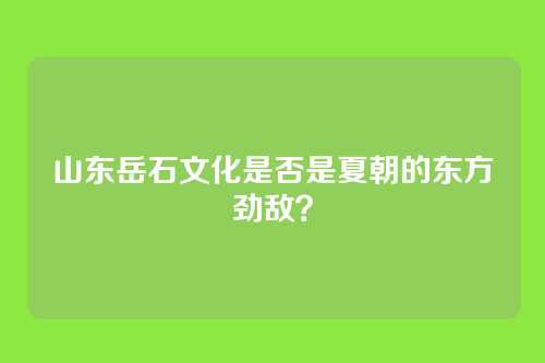 山东岳石文化是否是夏朝的东方劲敌？