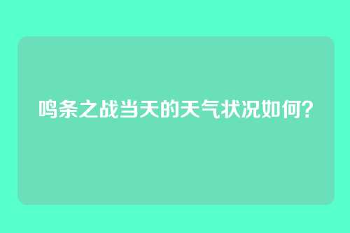 鸣条之战当天的天气状况如何？
