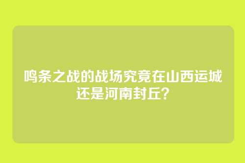 鸣条之战的战场究竟在山西运城还是河南封丘?