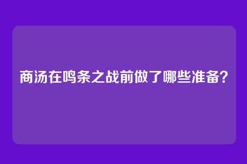 商汤在鸣条之战前做了哪些准备？