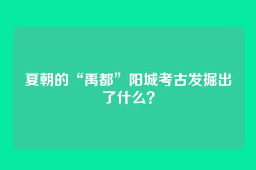 夏朝的“禹都”阳城考古发掘出了什么？