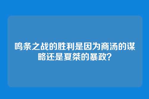 鸣条之战的胜利是因为商汤的谋略还是夏桀的暴政？