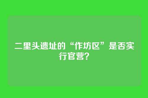 二里头遗址的“作坊区”是否实行官营?
