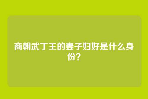 商朝武丁王的妻子妇好是什么身份？