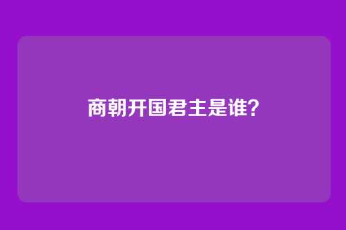 商朝开国君主是谁？