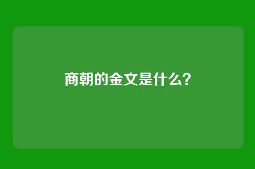商朝的金文是什么？