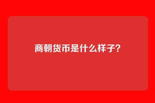 商朝货币是什么样子？