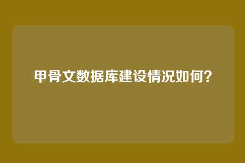 甲骨文数据库建设情况如何？