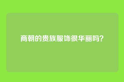 商朝的贵族服饰很华丽吗？