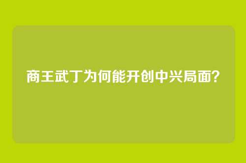 商王武丁为何能开创中兴局面？