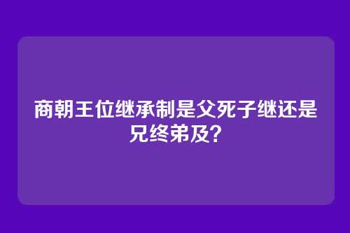 商朝王位继承制是父死子继还是兄终弟及？