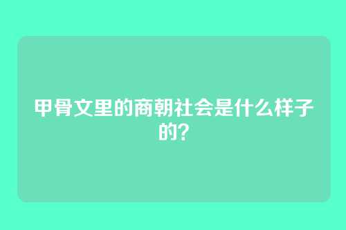 甲骨文里的商朝社会是什么样子的?