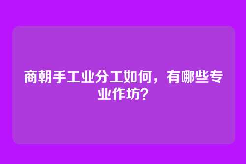 商朝手工业分工如何，有哪些专业作坊？