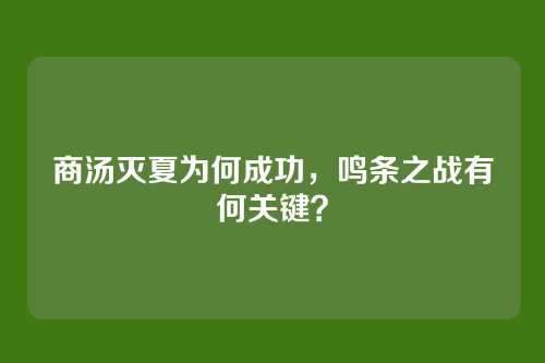 商汤灭夏为何成功，鸣条之战有何关键？