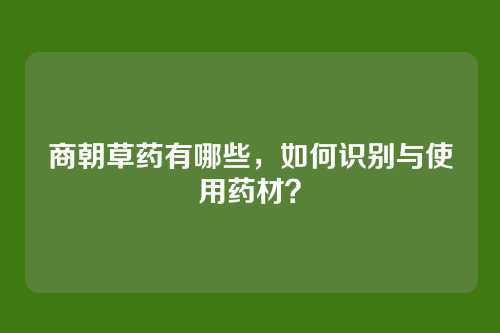 商朝草药有哪些，如何识别与使用药材？