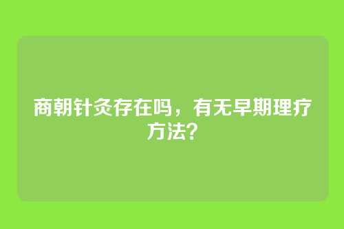 商朝针灸存在吗，有无早期理疗方法？