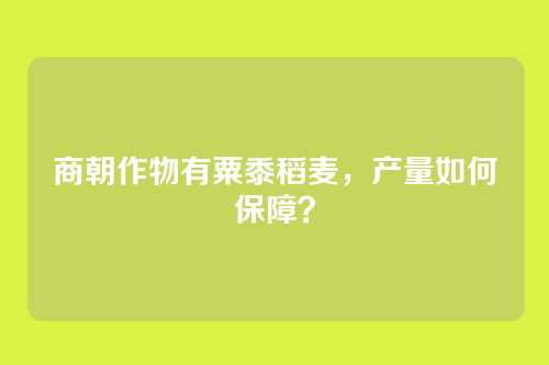 商朝作物有粟黍稻麦,产量如何保障?