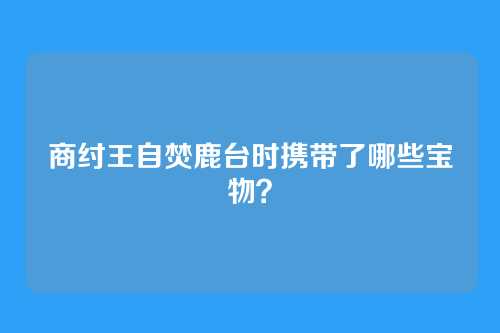 商纣王自焚鹿台时携带了哪些宝物?
