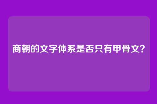商朝的文字体系是否只有甲骨文？