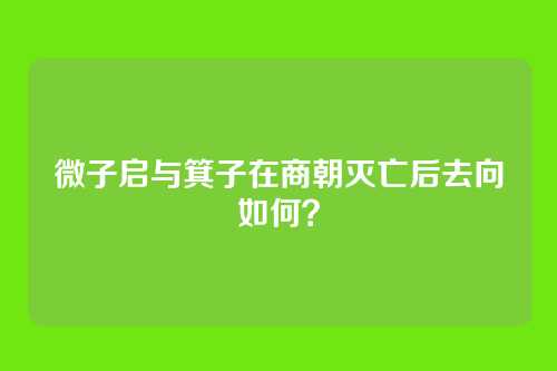 微子启与箕子在商朝灭亡后去向如何？